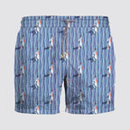 Boxer mare barche - zeybra
