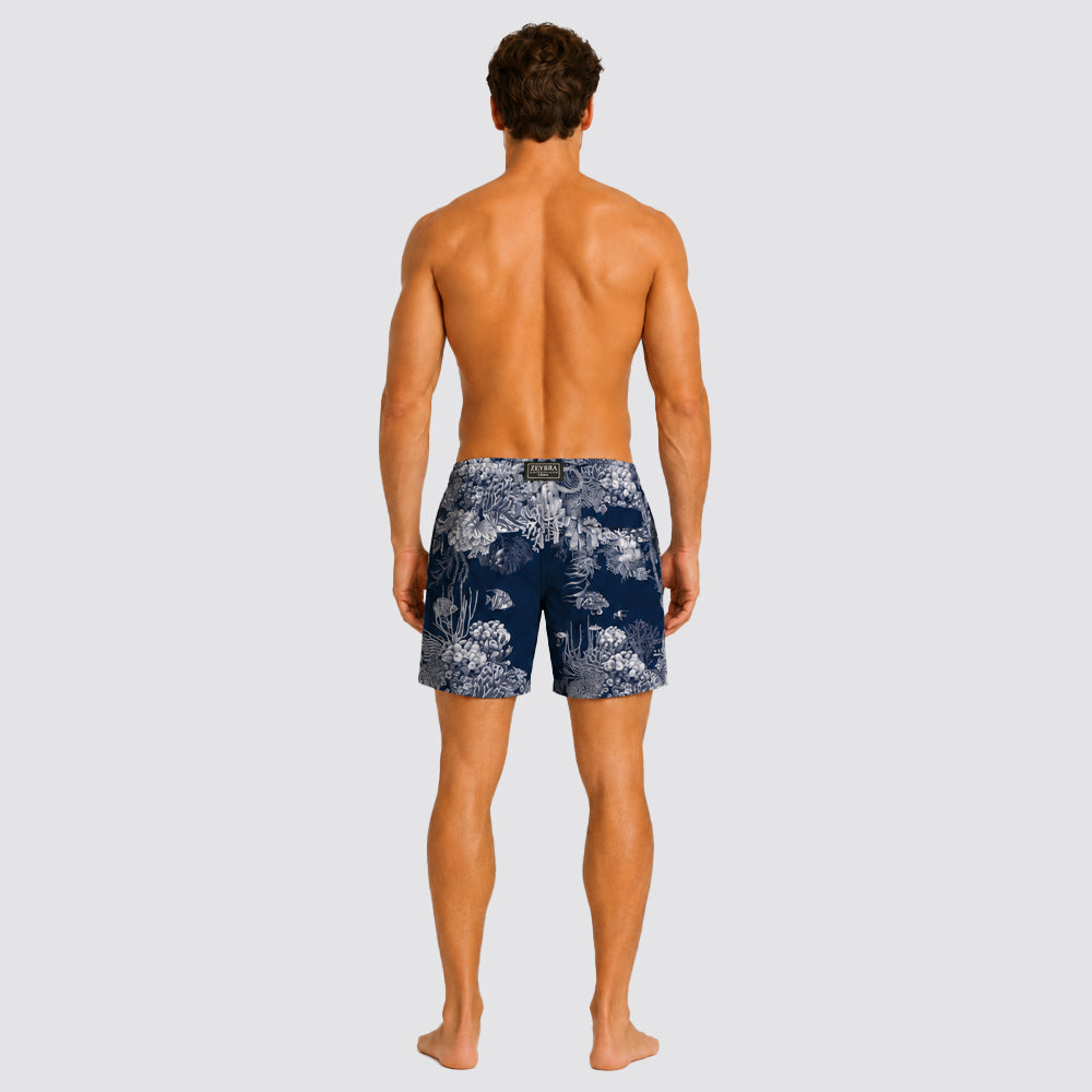 Boxer mare coral reef - zeybra