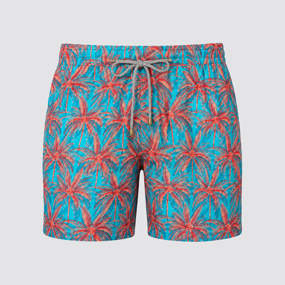 Boxer mare palme - zeybra