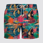Boxer mare pesci tropicali - zeybra