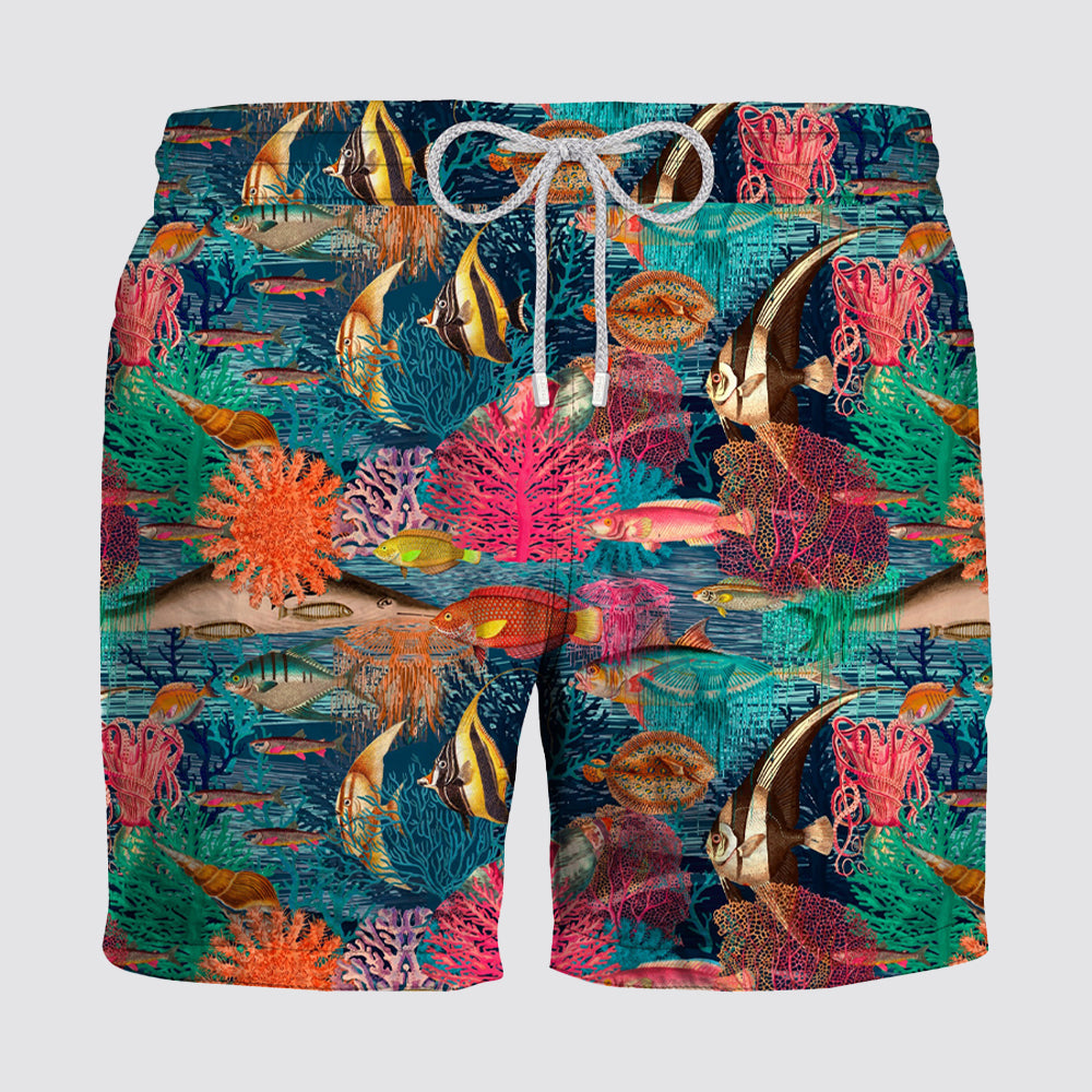 Boxer mare pesci tropicali - zeybra