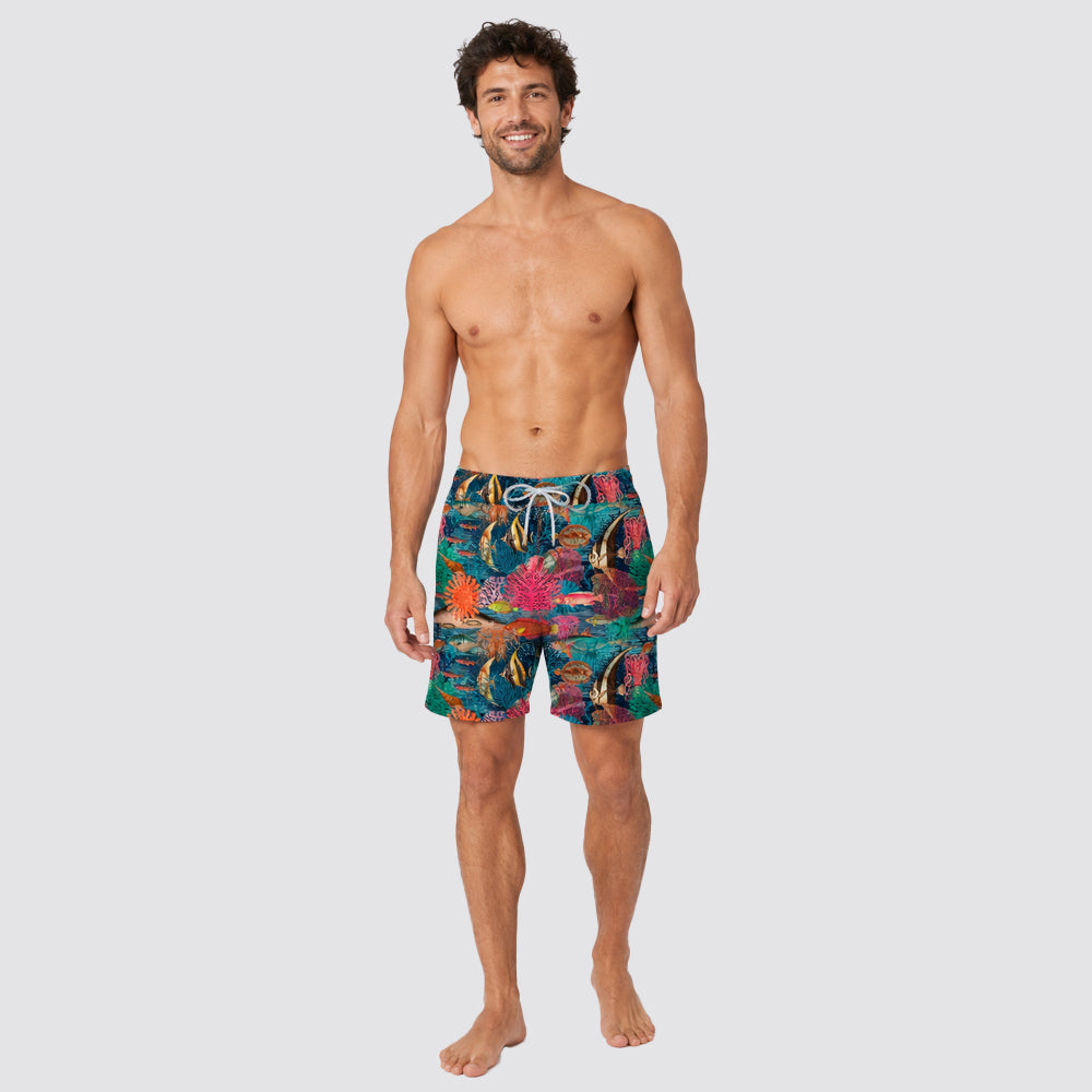 Boxer mare pesci tropicali - zeybra