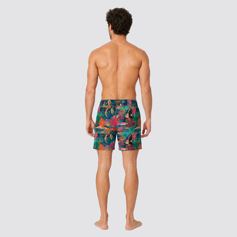 Boxer mare pesci tropicali - zeybra