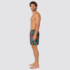 Boxer mare pesci tropicali - zeybra