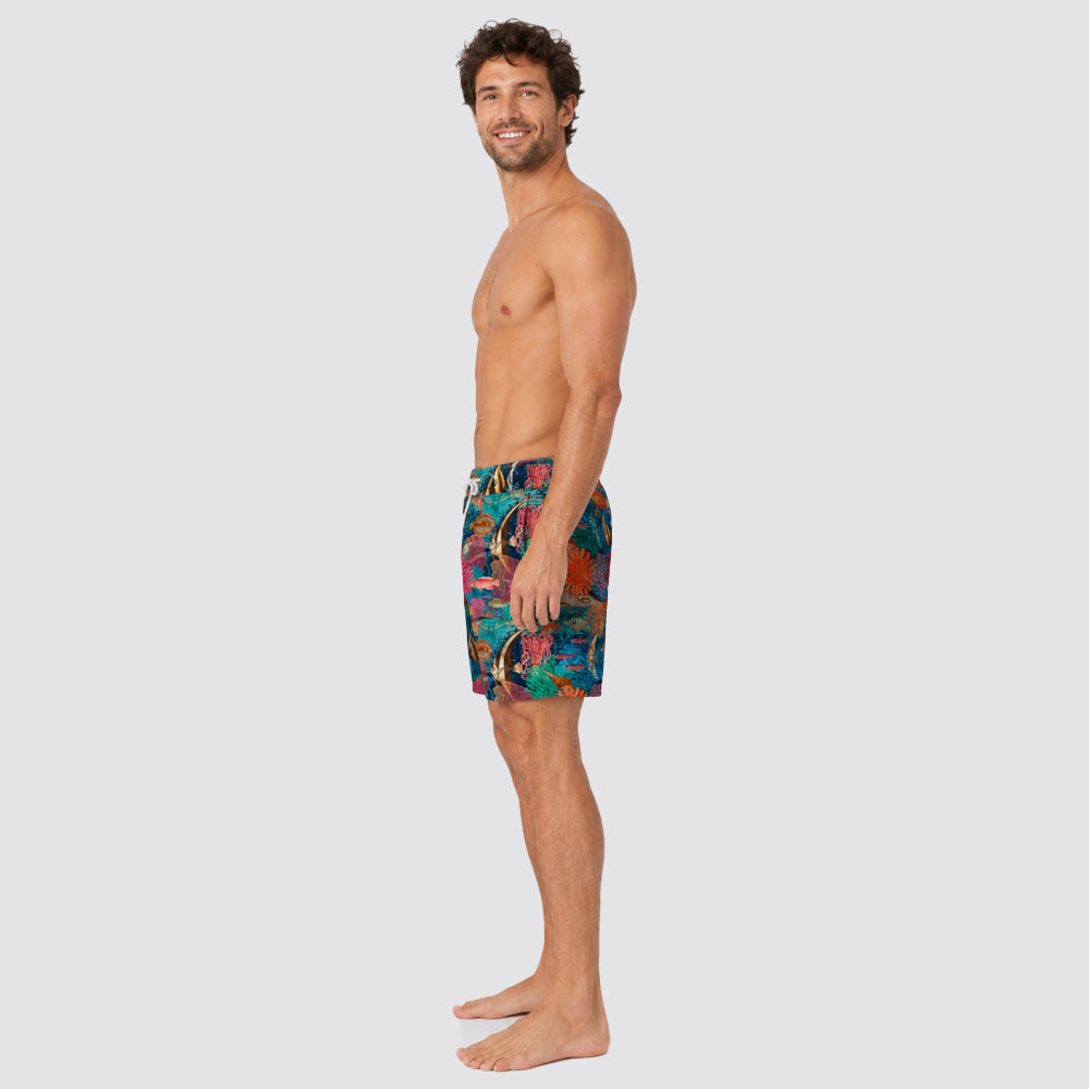 Boxer mare pesci tropicali - zeybra