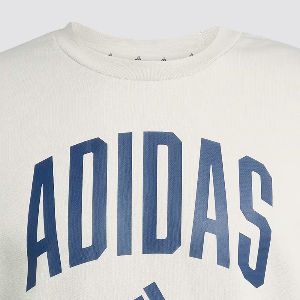 Felpa uomo girocollo collegiate