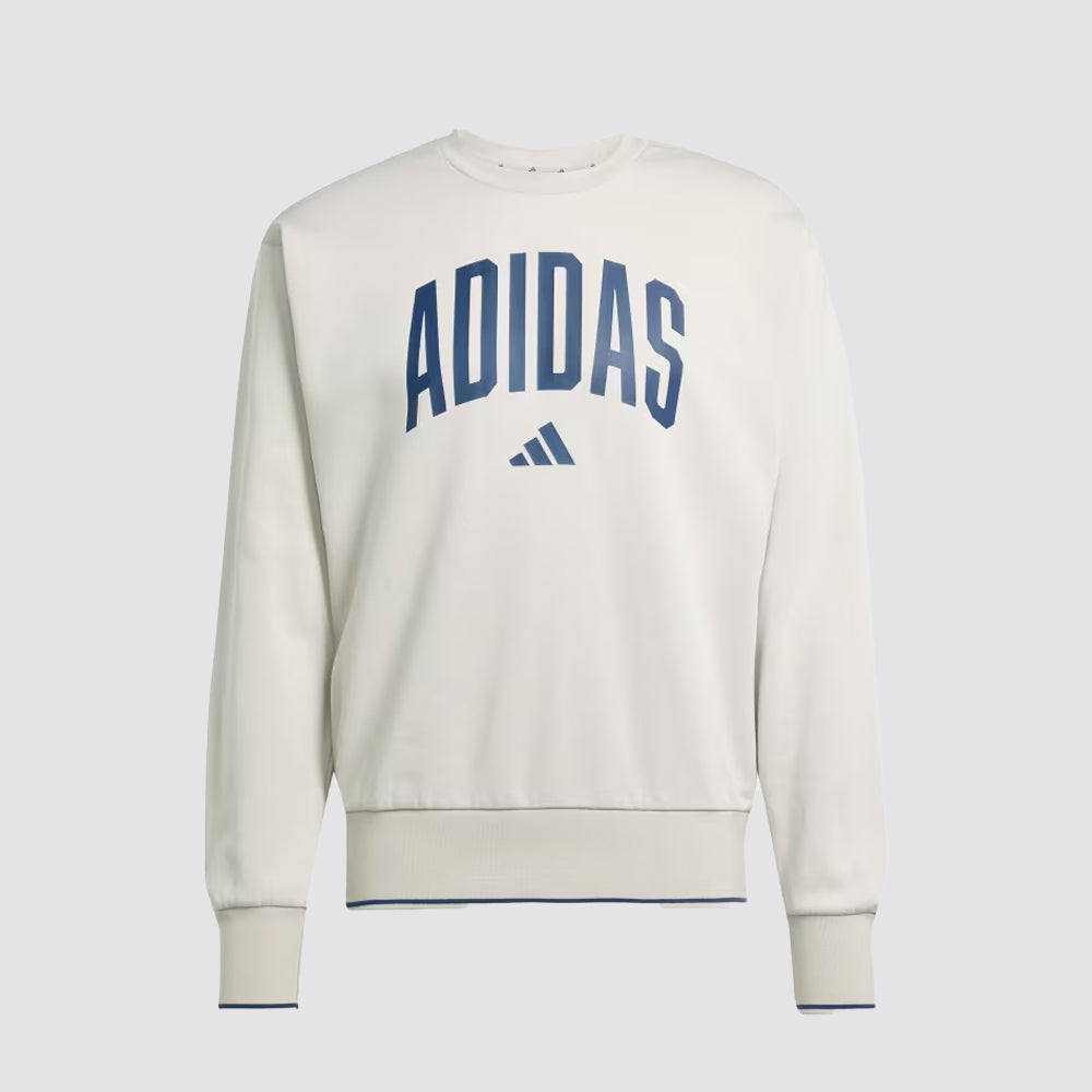 Felpa uomo girocollo collegiate