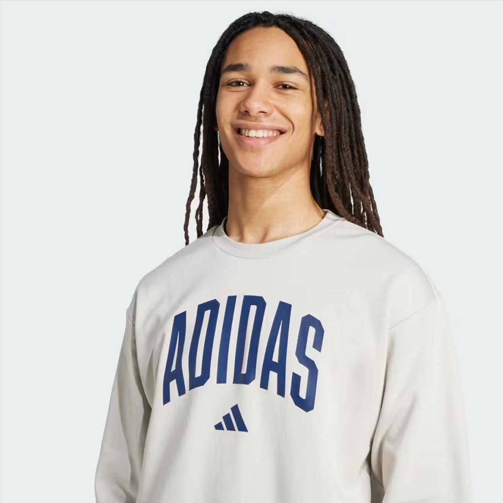 Felpa uomo girocollo collegiate