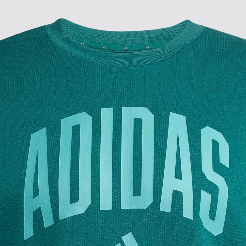 Felpa uomo girocollo collegiate