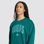 Felpa uomo girocollo collegiate