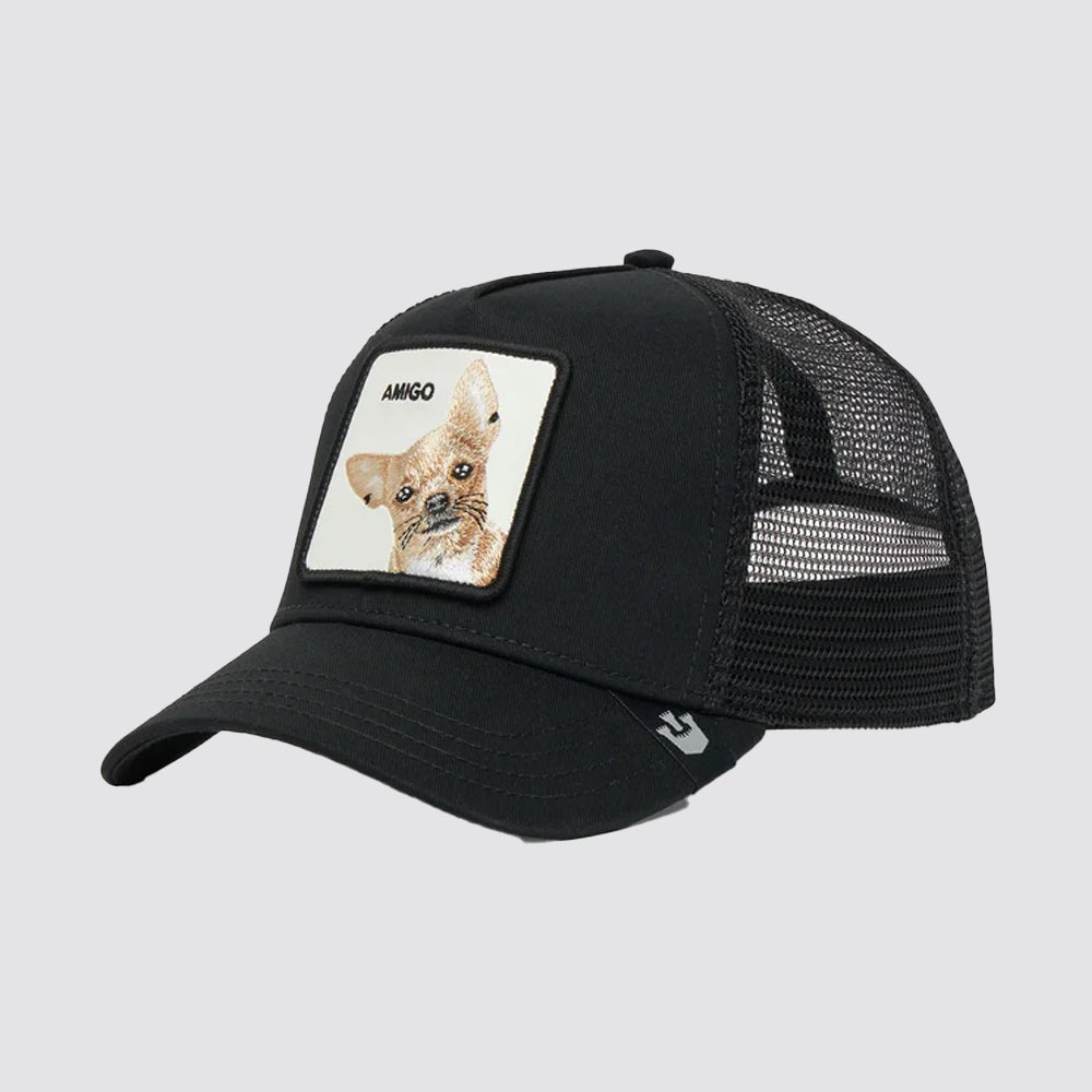 Goorin bros the amigo baseball cap