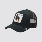 Goorin bros the baddest boy baseball cap