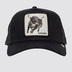 Goorin bros the rager baseball cap