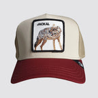 Jackal cappello goorin bros