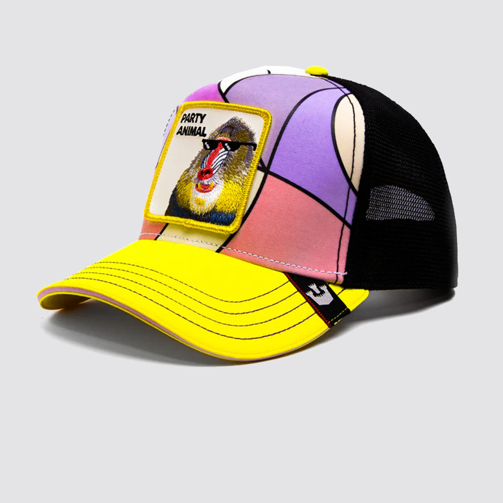 Marriermaker jackal cappello goorin bros baseball