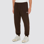 Pantalone uomo the north face evolution simple dome marrone