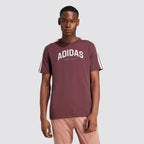 T-shirt uomo codes collegiate linear graphic