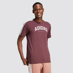 T-shirt uomo codes collegiate linear graphic