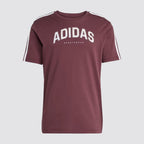 T-shirt uomo codes collegiate linear graphic