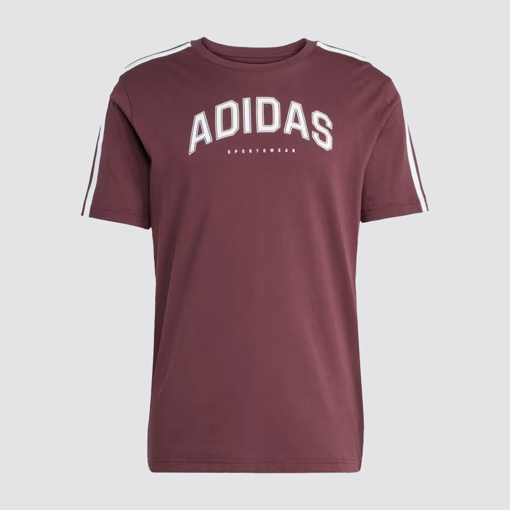 T-shirt uomo codes collegiate linear graphic