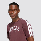 T-shirt uomo codes collegiate linear graphic