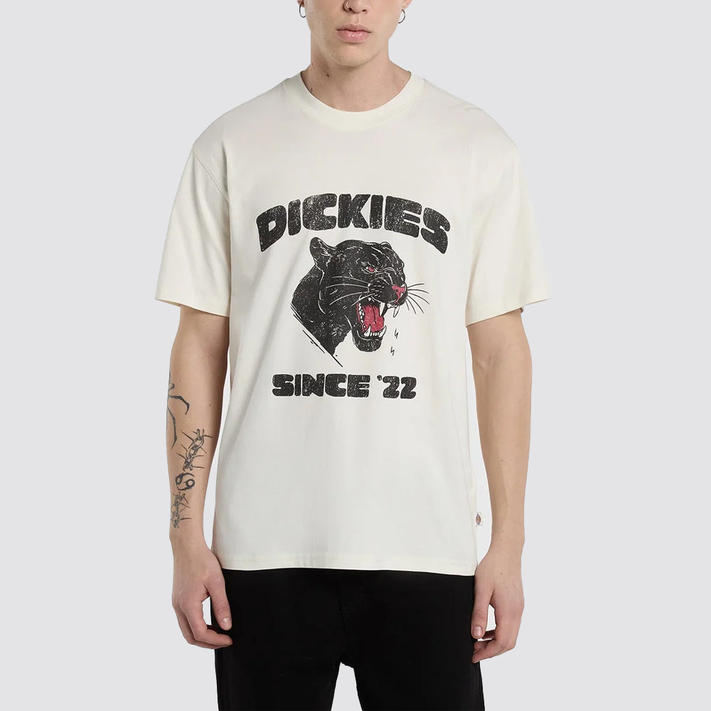 T-shirt uomo dickies mcdermitt con grafica