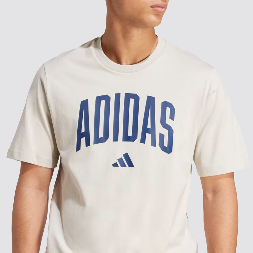 T-shirt uomo grafica collegiate lineage