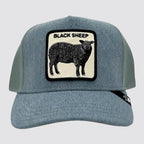 The black sheep cappello goorin bros baseball